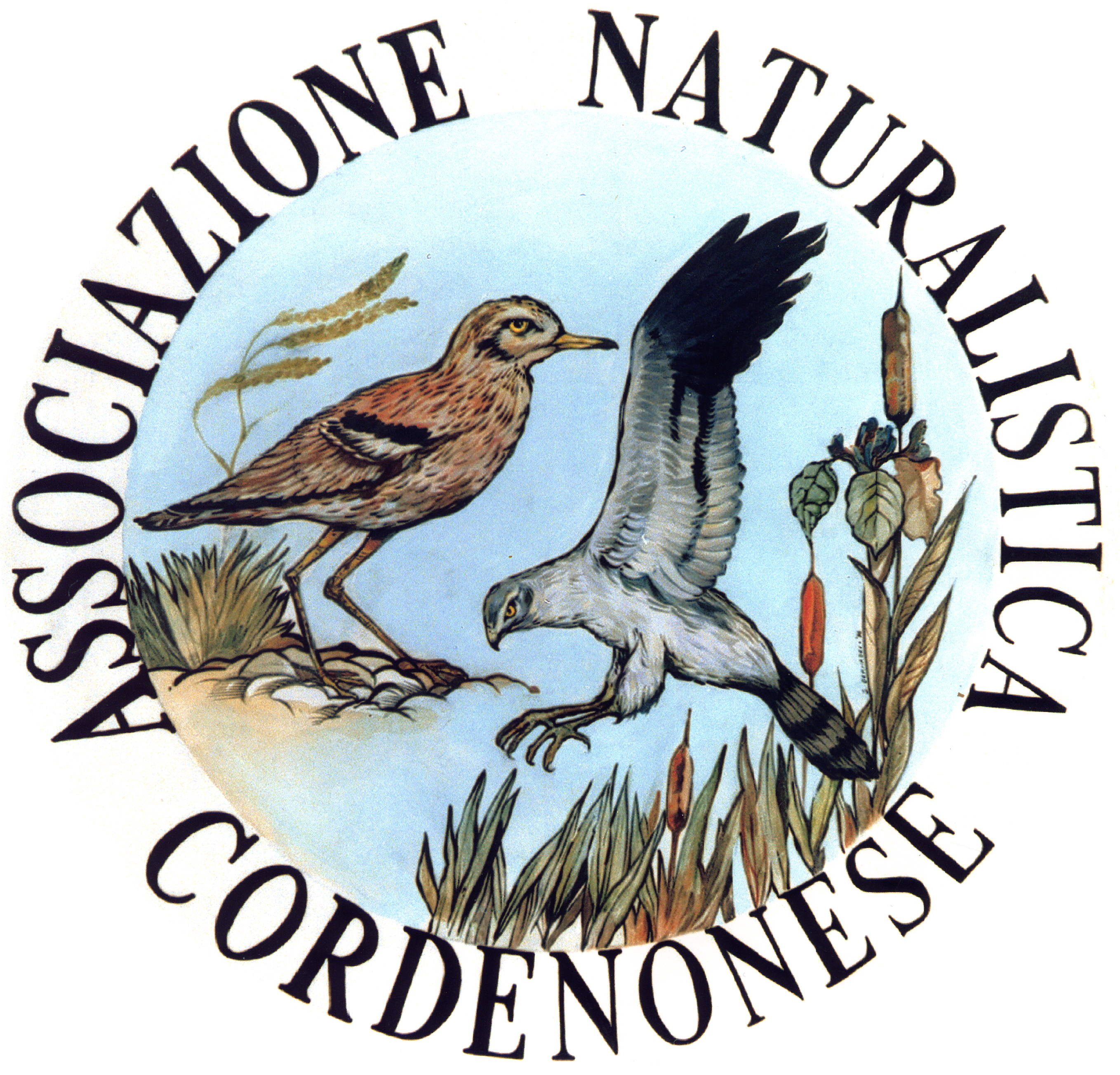 Associazione Naturalistica Cordenonese odv